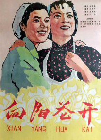 国内精品视频区在线2021